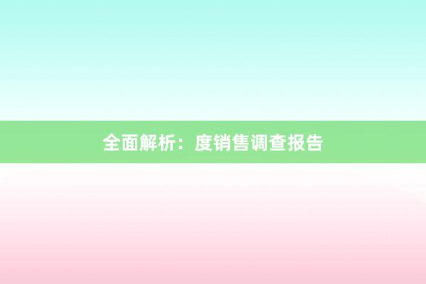 全面解析：度销售调查报告